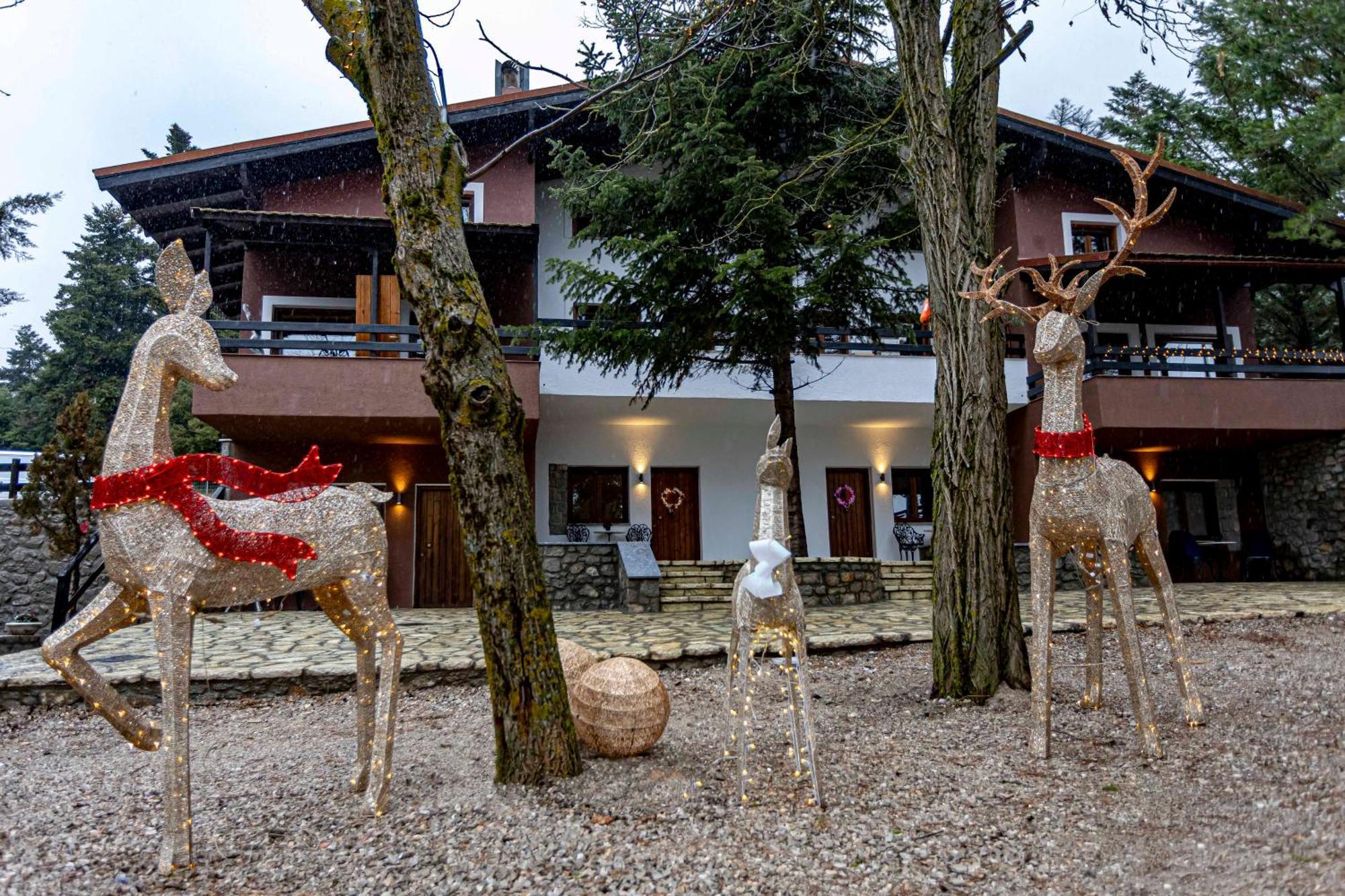 Mz Reindeer Hotel Kalívia Eksteriør billede
