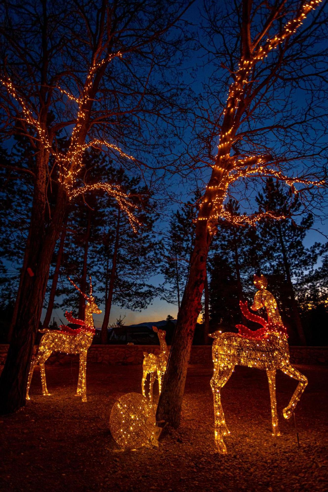 Mz Reindeer Hotel Kalívia Eksteriør billede